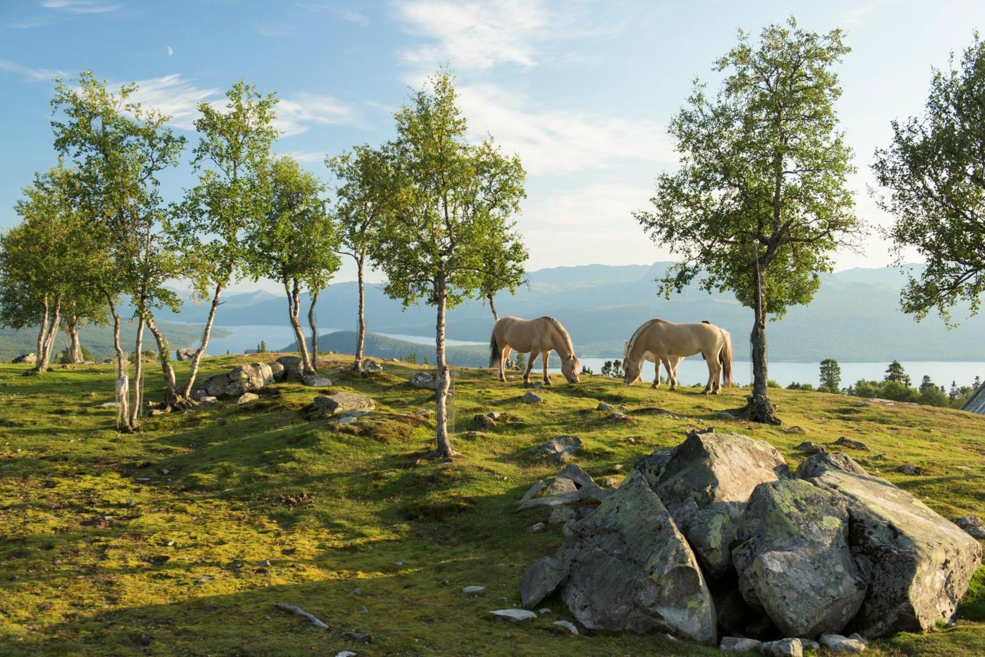 Langedrag Naturpark As Tunhovd 외부 사진